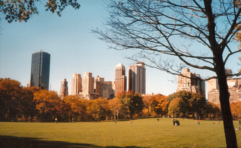Central Park, et les gratte-ciel de New York au second plan.